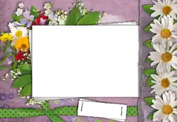 Fotoeffekt aus der Kategorie Fotorahmen für Frauen № 24462