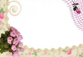 Fotoeffekt aus der Kategorie Fotorahmen für Frauen № 24536