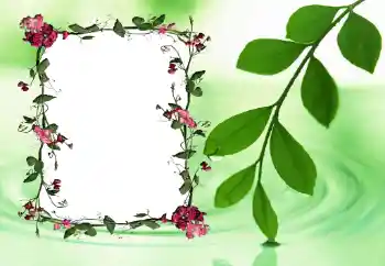 Fotoeffekt aus der Kategorie Fotorahmen für Frauen № 24558