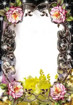 Fotoeffekt aus der Kategorie Fotorahmen für Frauen № 25479