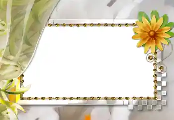 Fotoeffekt aus der Kategorie Fotorahmen für Frauen № 264