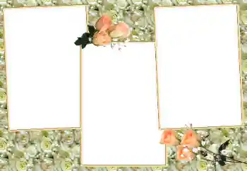Fotoeffekt aus der Kategorie Fotorahmen für Frauen № 26581