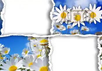 Fotoeffekt aus der Kategorie Fotorahmen für Frauen № 267. Beschriftung auf dem Rahmen: Лето. Fotoeffekt aus der Kategorie Fotorahmen für Frauen № 267. Beschriftung auf dem Rahmen: Лето.