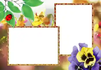 Fotoeffekt aus der Kategorie Fotorahmen für Frauen № 273