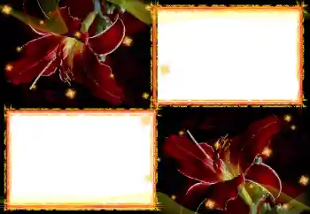 Fotoeffekt aus der Kategorie Fotorahmen für Frauen № 27702