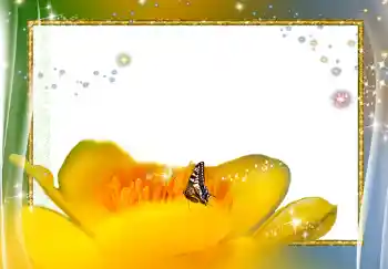 Fotoeffekt aus der Kategorie Fotorahmen für Frauen № 278 Fotoeffekt aus der Kategorie Fotorahmen für Frauen № 278