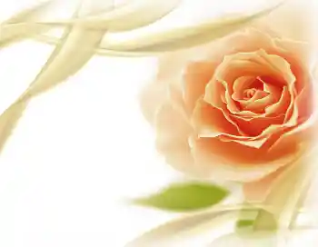 Fotoeffekt aus der Kategorie Fotorahmen für Frauen № 2801