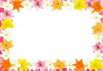 Fotoeffekt aus der Kategorie Fotorahmen für Frauen № 2989