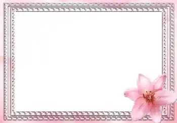 Fotoeffekt aus der Kategorie Fotorahmen für Frauen № 2991