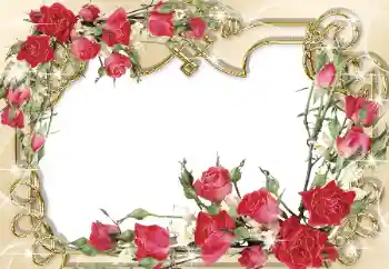 Fotoeffekt aus der Kategorie Fotorahmen für Frauen № 31765