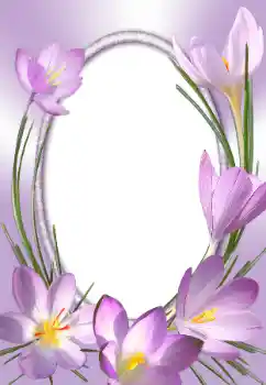Fotoeffekt aus der Kategorie Fotorahmen für Frauen № 31786