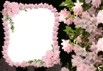 Fotoeffekt aus der Kategorie Fotorahmen für Frauen № 31824