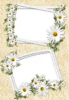 Fotoeffekt aus der Kategorie Fotorahmen für Frauen № 32693