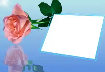 Fotoeffekt aus der Kategorie Fotorahmen für Frauen № 32721
