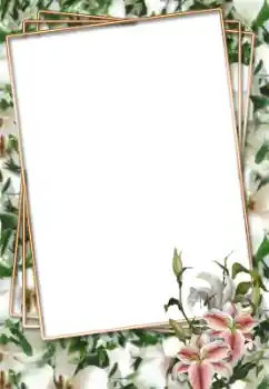 Fotoeffekt aus der Kategorie Fotorahmen für Frauen № 33703