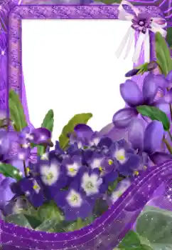 Fotoeffekt aus der Kategorie Fotorahmen für Frauen № 33734