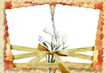 Fotoeffekt aus der Kategorie Fotorahmen für Frauen № 33847