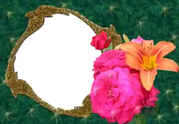 Fotoeffekt aus der Kategorie Fotorahmen für Frauen № 34688