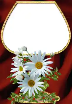 Fotoeffekt aus der Kategorie Fotorahmen für Frauen № 34708