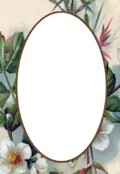 Fotoeffekt aus der Kategorie Fotorahmen für Frauen № 34845