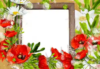 Fotoeffekt aus der Kategorie Fotorahmen für Frauen № 3491