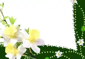 Fotoeffekt aus der Kategorie Fotorahmen für Frauen № 35016