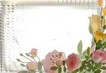 Fotoeffekt aus der Kategorie Fotorahmen für Frauen № 35017