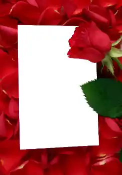 Fotoeffekt aus der Kategorie Fotorahmen für Frauen № 3641