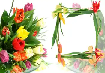 Fotoeffekt aus der Kategorie Fotorahmen für Frauen № 40387