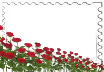 Fotoeffekt aus der Kategorie Fotorahmen für Frauen № 4162 Fotoeffekt aus der Kategorie Fotorahmen für Frauen № 4162