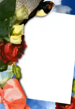 Fotoeffekt aus der Kategorie Fotorahmen für Frauen № 42754