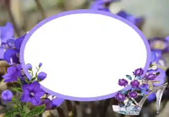 Fotoeffekt aus der Kategorie Fotorahmen für Frauen № 43545