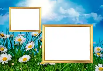 Fotoeffekt aus der Kategorie Fotorahmen für Frauen № 43572