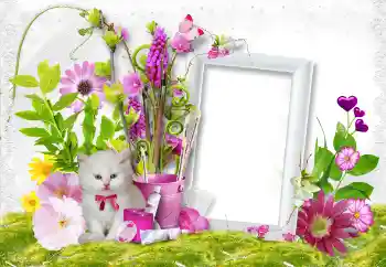 Fotoeffekt aus der Kategorie Fotorahmen für Frauen № 45889
