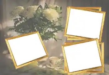 Fotoeffekt aus der Kategorie Fotorahmen für Frauen № 45921