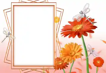 Fotoeffekt aus der Kategorie Fotorahmen für Frauen № 47199