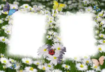 Fotoeffekt aus der Kategorie Fotorahmen für Frauen № 49398