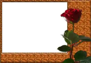 Fotoeffekt aus der Kategorie Fotorahmen für Frauen № 49427