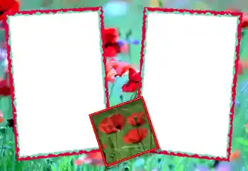 Fotoeffekt aus der Kategorie Fotorahmen für Frauen № 49428