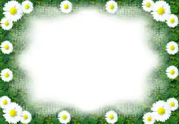 Fotoeffekt aus der Kategorie Fotorahmen für Frauen № 49443