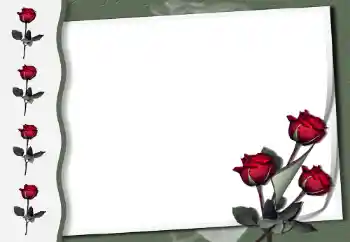 Fotoeffekt aus der Kategorie Fotorahmen für Frauen № 50854