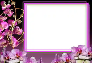 Fotoeffekt aus der Kategorie Fotorahmen für Frauen № 50856