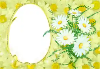 Fotoeffekt aus der Kategorie Fotorahmen für Frauen № 50878