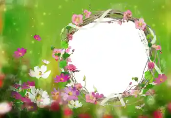 Fotoeffekt aus der Kategorie Fotorahmen für Frauen № 52077
