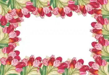 Fotoeffekt aus der Kategorie Fotorahmen für Frauen № 52090