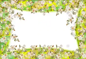 Fotoeffekt aus der Kategorie Fotorahmen für Frauen № 52181