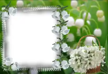Fotoeffekt aus der Kategorie Fotorahmen für Frauen № 53368