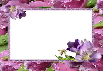 Fotoeffekt aus der Kategorie Fotorahmen für Frauen № 5506 Fotoeffekt aus der Kategorie Fotorahmen für Frauen № 5506