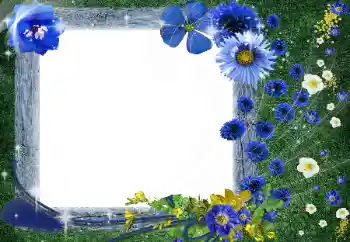 Fotoeffekt aus der Kategorie Fotorahmen für Frauen № 56531