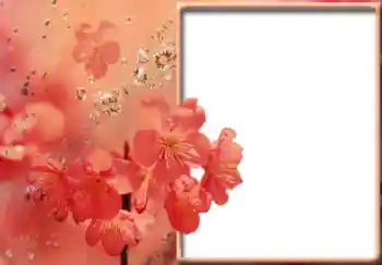 Fotoeffekt aus der Kategorie Fotorahmen für Frauen № 57711
